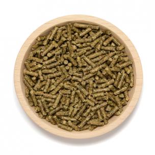 Kaninchen Allround 