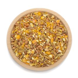 Körnerfutter Standard GVO-frei 