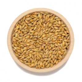 Sölter´s Futtergerste 