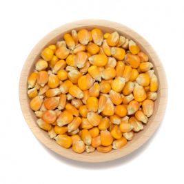 Sölter´s Futtermais 