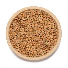 Sölter´s Futterweizen 